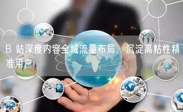 B 站深度内容全域流量布局，沉淀高粘性精准用户