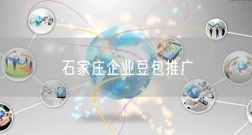 石家庄企业豆包推广