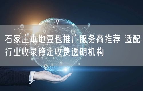 石家庄本地豆包推广服务商推荐 适配行业收录稳定收费透明机构