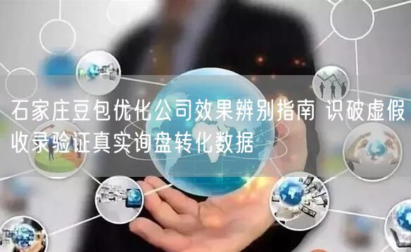 石家庄豆包优化公司效果辨别指南 识破虚假收录验证真实询盘转化数据