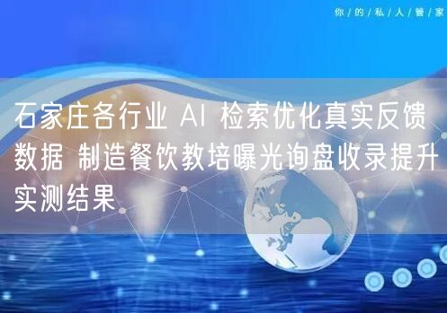 石家庄各行业 AI 检索优化真实反馈数据 制造餐饮教培曝光询盘收录提升实测结果
