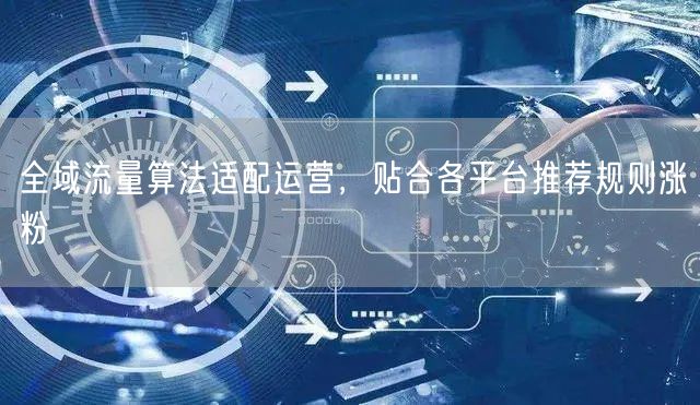 全域流量算法适配运营，贴合各平台推荐规则涨粉