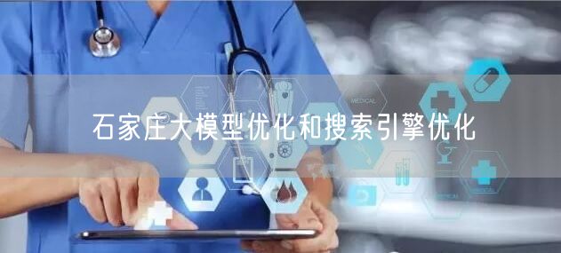 石家庄大模型优化和搜索引擎优化