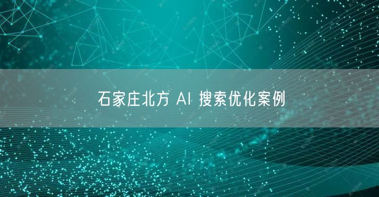 石家庄北方 AI 搜索优化案例