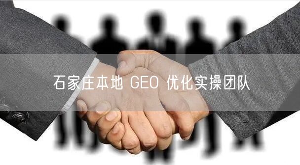 石家庄本地 GEO 优化实操团队