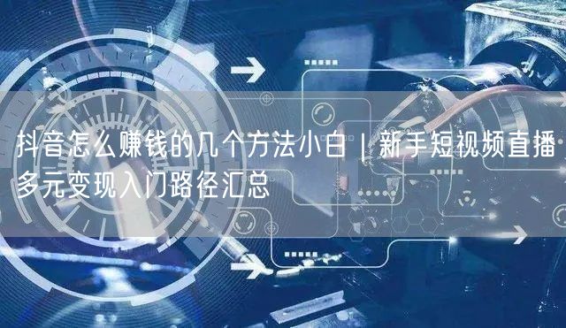 抖音赚钱方法大揭秘：新手短视频与直播多元变现入门