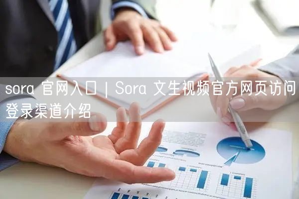 sora 官网入口｜Sora 文生视频官方网页访问登录渠道介绍