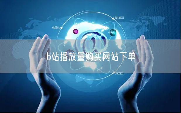b站播放量购买网站下单