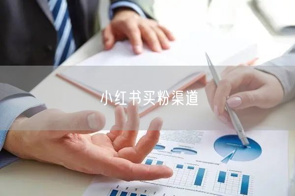 小红书买粉渠道