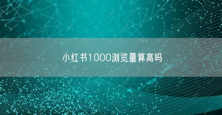 小红书1000浏览量算高吗