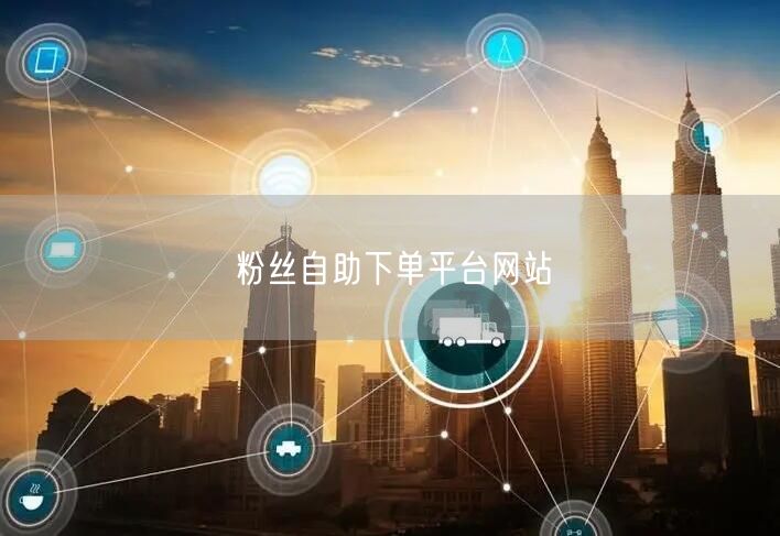 粉丝自助下单平台网站