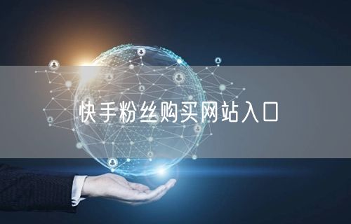 快手粉丝购买网站入口