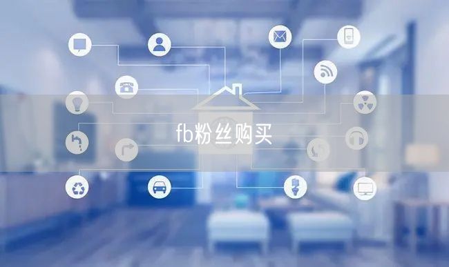 fb粉丝购买