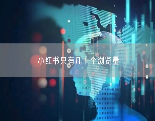 小红书只有几十个浏览量