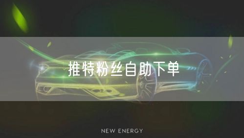 推特粉丝自助下单