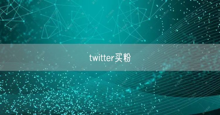 twitter买粉