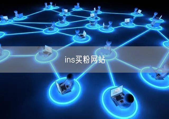 ins买粉网站