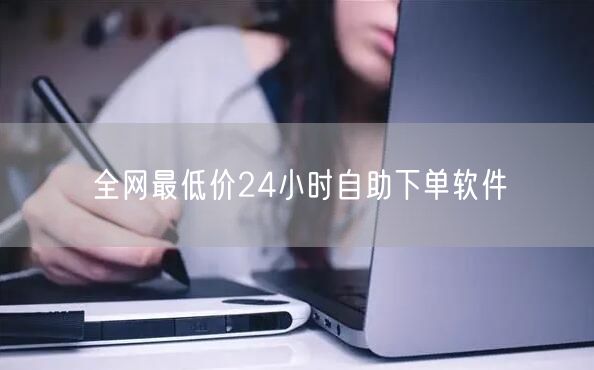 全网最低价24小时自助下单软件