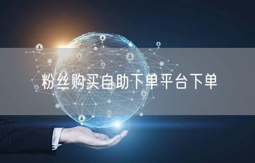 粉丝购买自助下单平台下单