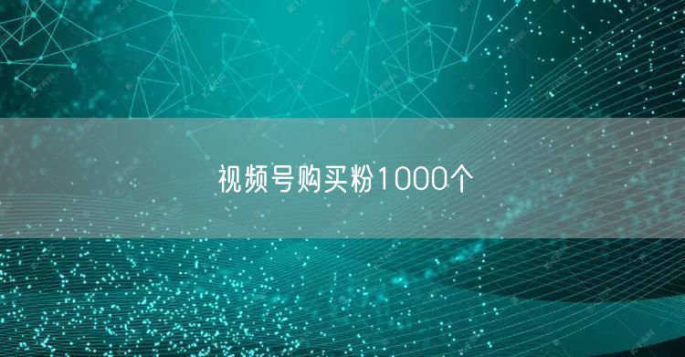 视频号购买粉1000个