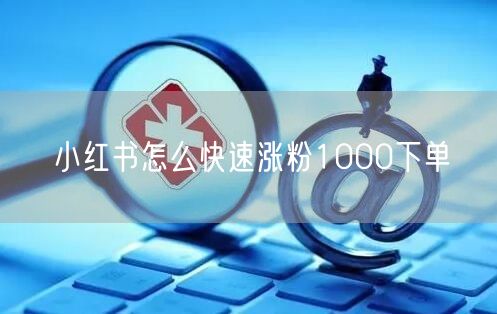 小红书怎么快速涨粉1000下单
