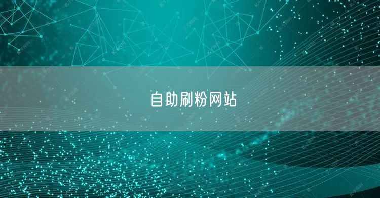 自助刷粉网站