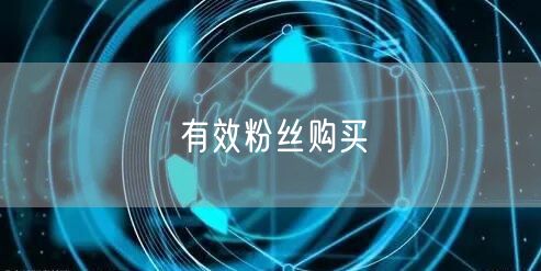 有效粉丝购买