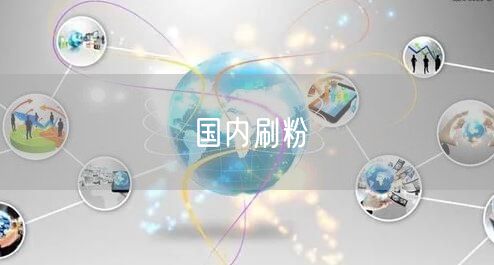 国内刷粉