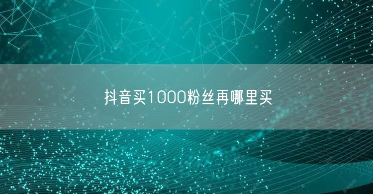 抖音买1000粉丝再哪里买