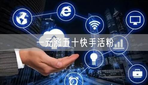 一元涨五十快手活粉