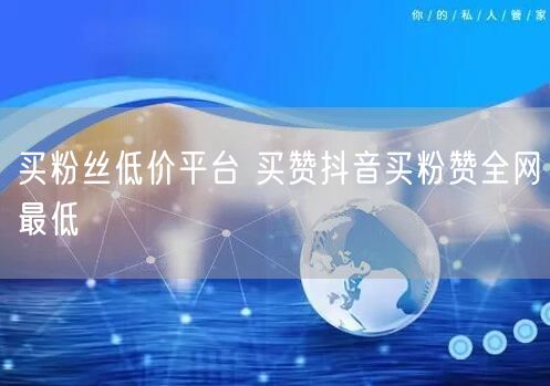 买粉丝低价平台 买赞抖音买粉赞全网最低
