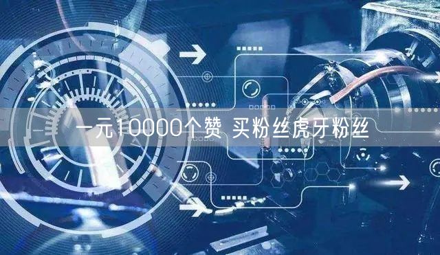 一元10000个赞 买粉丝虎牙粉丝