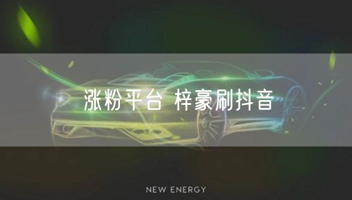 涨粉平台 梓豪刷抖音