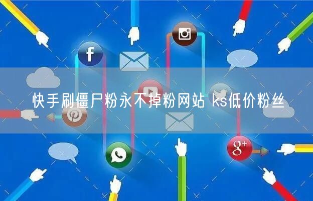 快手刷僵尸粉永不掉粉网站 ks低价粉丝