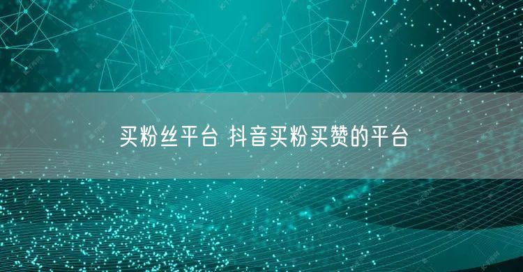 买粉丝平台 抖音买粉买赞的平台